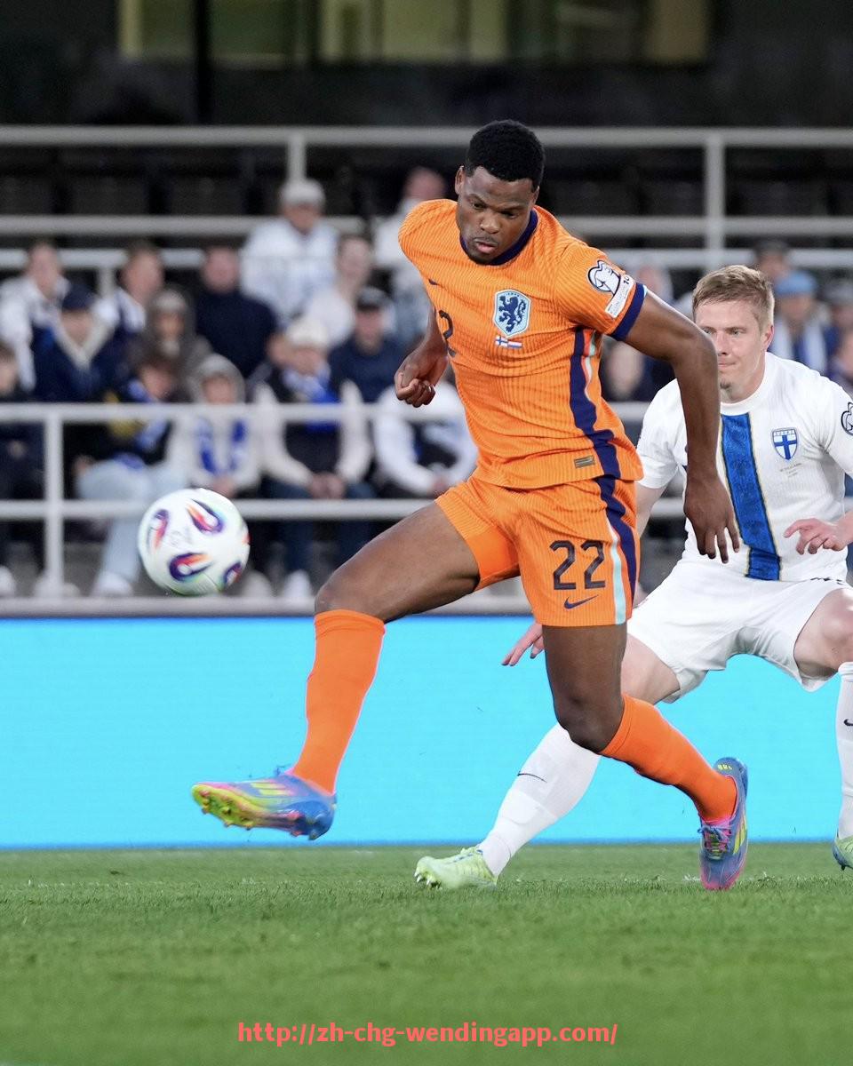 问鼎娱乐官网-世俱杯主办城市赛事宣传推广预算使用效率与传播效果量化分析